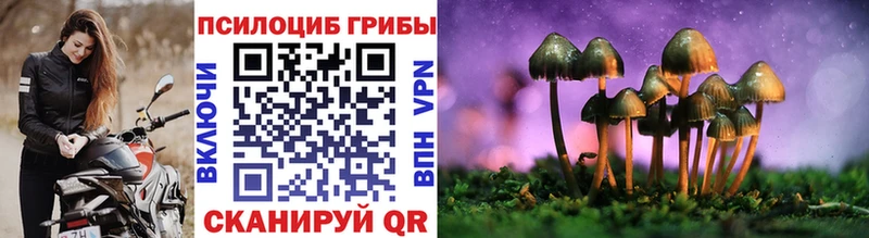 цены наркотик  Грозный  Псилоцибиновые грибы мицелий 